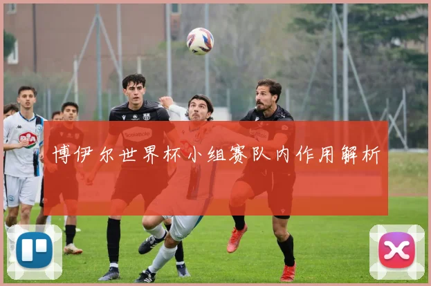博伊尔世界杯小组赛队内作用解析
