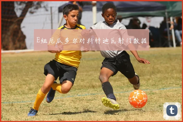 E组厄瓜多尔对科特迪瓦射门数据