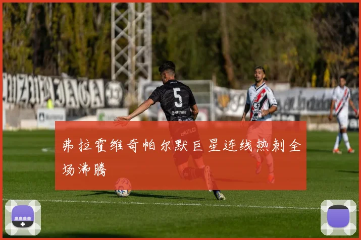 弗拉霍维奇帕尔默巨星连线热刺全场沸腾